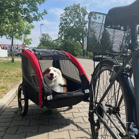 Gala- Blisko Plazy, Basen Z Podgrzewana Woda , Sauna , Parking Lodge Grzybowo (West Pomeranian)
