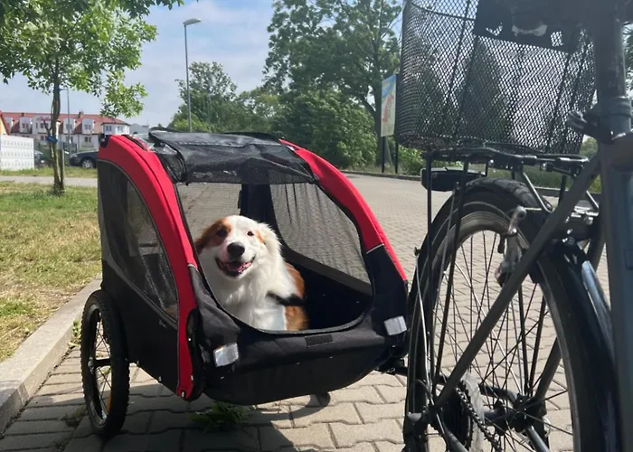 Letniskowe Gala Ii Lodge Grzybowo (West Pomeranian)